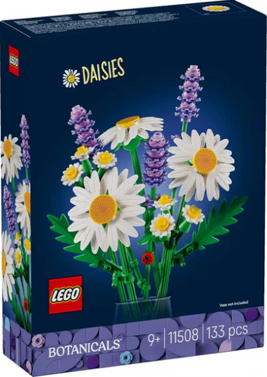 11508 - Daisies