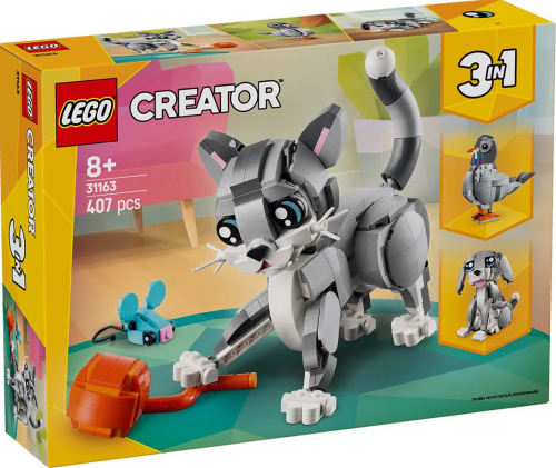 31163 - Playful Cat