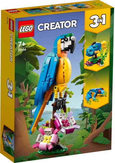 31136 - Exotic Parrot
