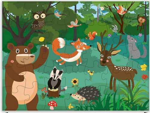 35pc - Forest Floor Puzzle (3768)