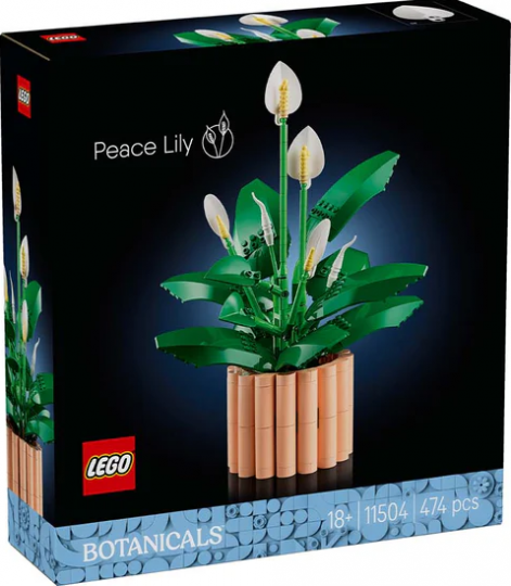 11504 - Peace Lily