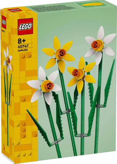 40747 - Daffodils