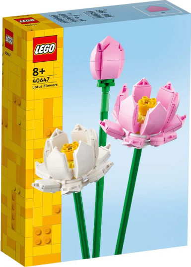 40647 - Lotus Flowers