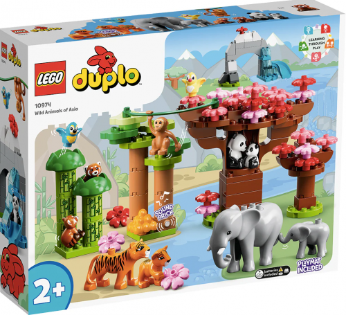 10974 - Wild Animals of Asia