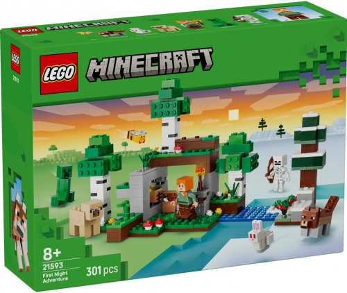 21593 - First Night Adventure