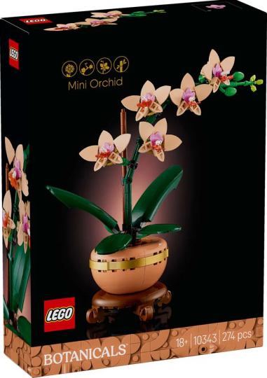 10343 - Mini Orchid